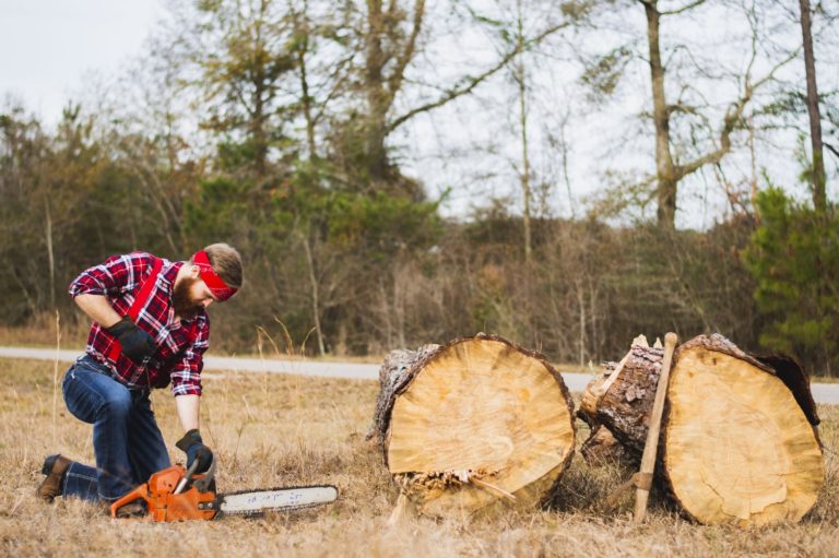 Important Facts About Chainsaws And How To Use Them Properly
