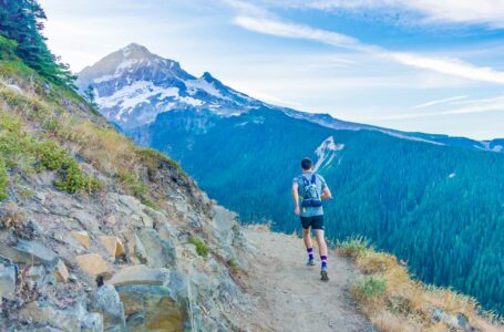 Why Exercise Should Be An Important Part of Your Day