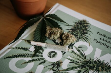 The Complete Beginner’s Guide to Selling CBD