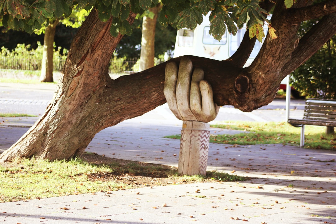 Ideas for Making Your Wellness Brand